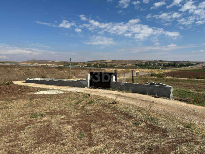 WhatsApp Image 2025-06-02 at 15.53.38.jpeg